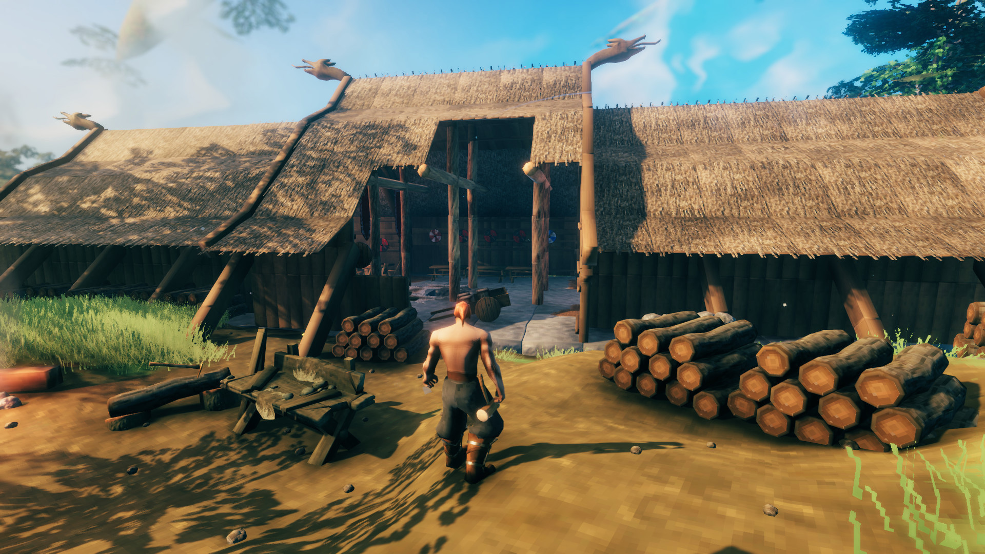 Valheim Basic