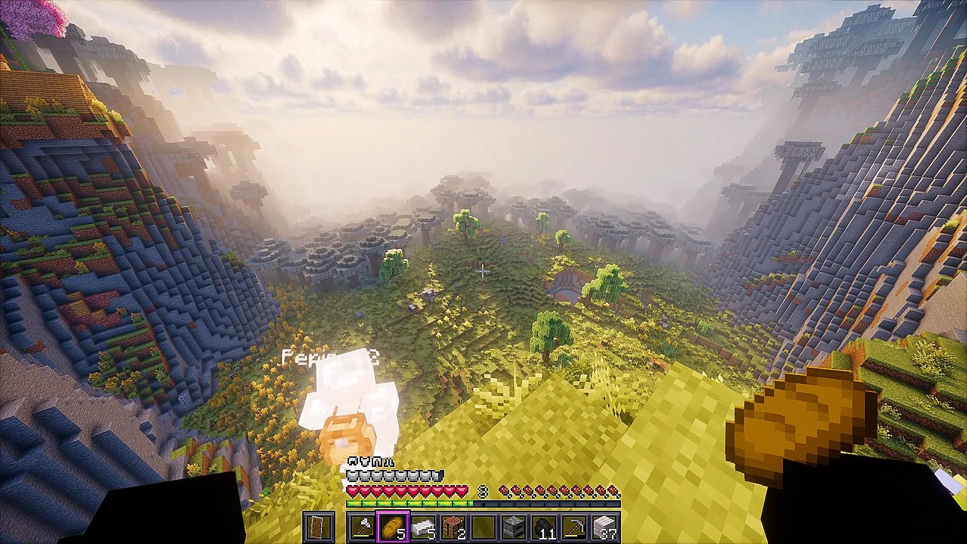 Minecraft Standard